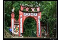 ĐẠI LÝ VÉ MÁY BAY GIÁ RẺ TẠI PHÚ THỌ